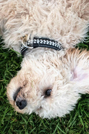 Black Zimba Necklace