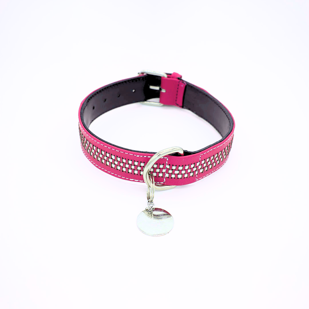 Collar_perro_zimba_rosa_mexicano_Piel_Atrio.png